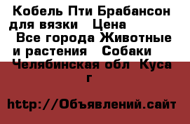 Кобель Пти Брабансон для вязки › Цена ­ 30 000 - Все города Животные и растения » Собаки   . Челябинская обл.,Куса г.